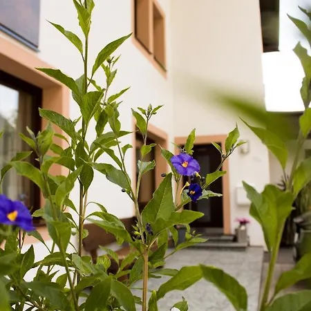 Appartement Haus Ganeu Gaschurn