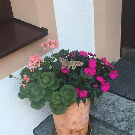 Appartement Haus Ganeu Gaschurn