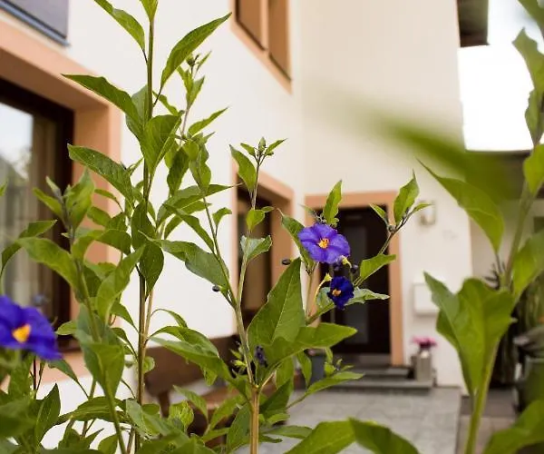 Apartment Haus Ganeu Gaschurn